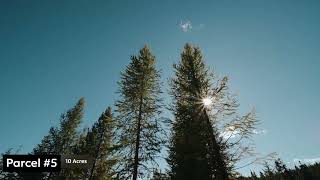 Elk City Idaho Recreational Land For Sale!! Located in the heart of Idaho, GMU 15.