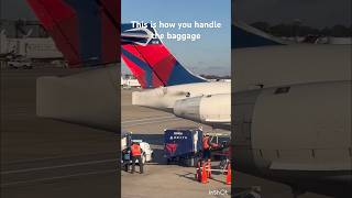 This is how you handle the baggage with care | Delta Baggage Handlers #subscribe #delta #shorts #tlc