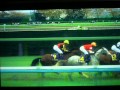 2012年 第72回皐月賞(GI)中山芝2000m 牡馬クラシック開幕