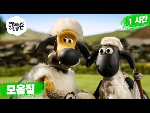 비처가 양으로 변장했어요! 🐶🐑 | 새학기 🚌🔔