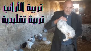 تربية الارانب على الارض تربية تقليدية /Raising rabbits on the ground