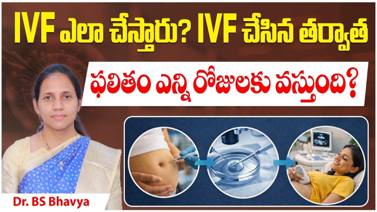 How IVF Procedure is Performed | IVF Treatment Step by Step in Telugu | Indira Surya IVF Centre