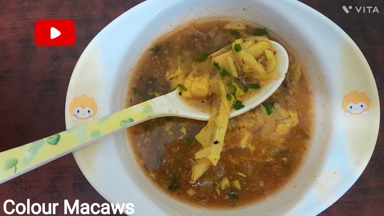 சுறா மீன் சூப் | Shark fish soup recipe | தமிழில் | Colour Macaws