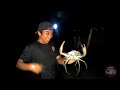 Marami sana kaming huli kaya lang may mga ahas pala (Mud Crab Hunting)