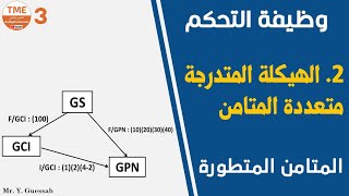 الهيكلة المتدرجة متعددة المتامن | GS - GCI - GPN