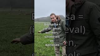 Download Lagu Bodemleven Feitje: Wormen VS Koeien in Weiland MP3