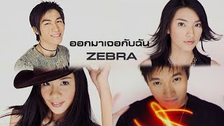 ออกมาเจอกบฉน Zebra Official Mv