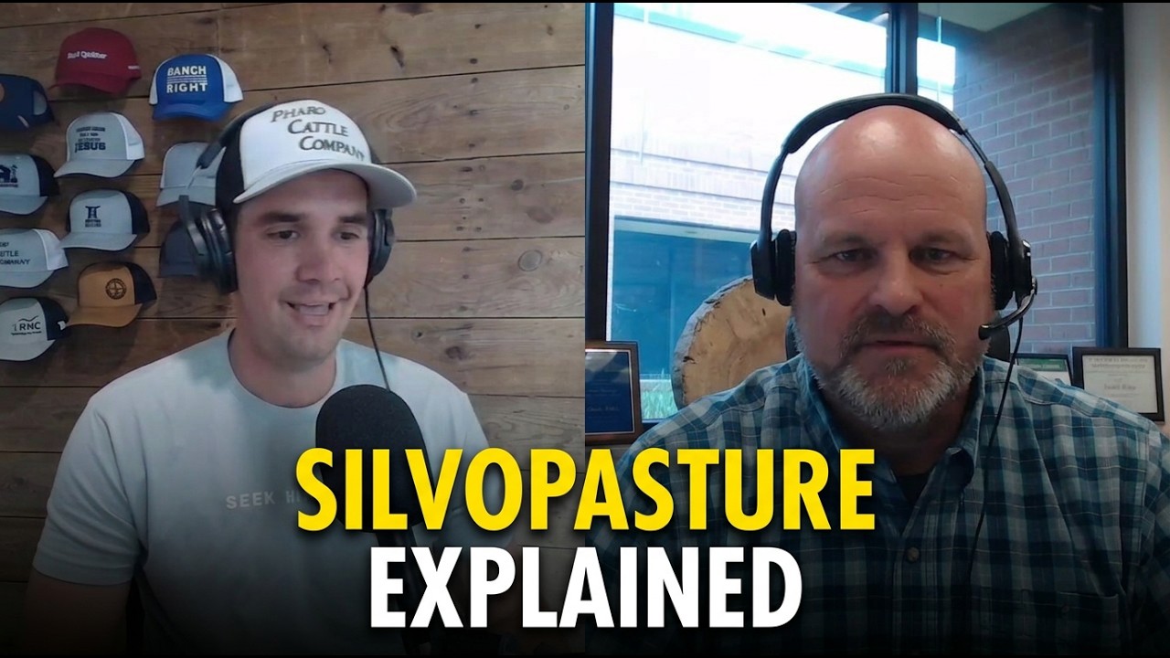 282: Charles Rohla - Silvopasture Explained