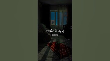 اكتب شيء تؤجر عليه ❤😴 القارئ بدر التركي