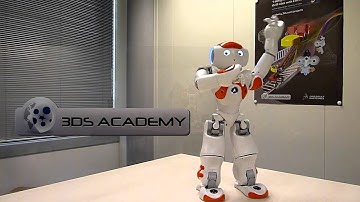 NAO, overview - 3DS Academy