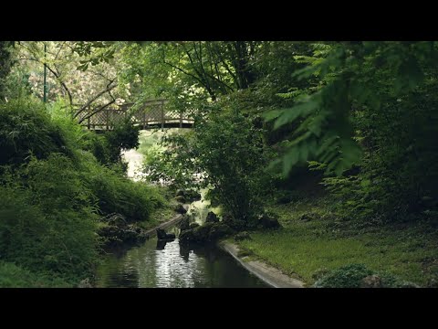 Parcs et jardins de Troyes - Troyes Champagne Métropole