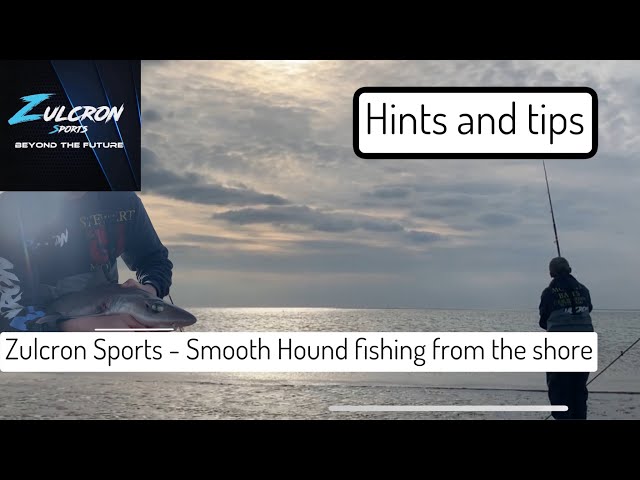 Zulcron Sports - Beach Fishing for BIG Smooth Hounds with Stewart Herd 