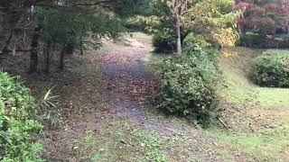 2018111106 4