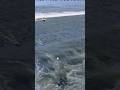 River water waves #This silence is way too loud#water #beach