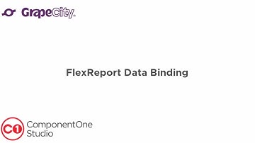 FlexReport Data Binding from Multiple Data Sources