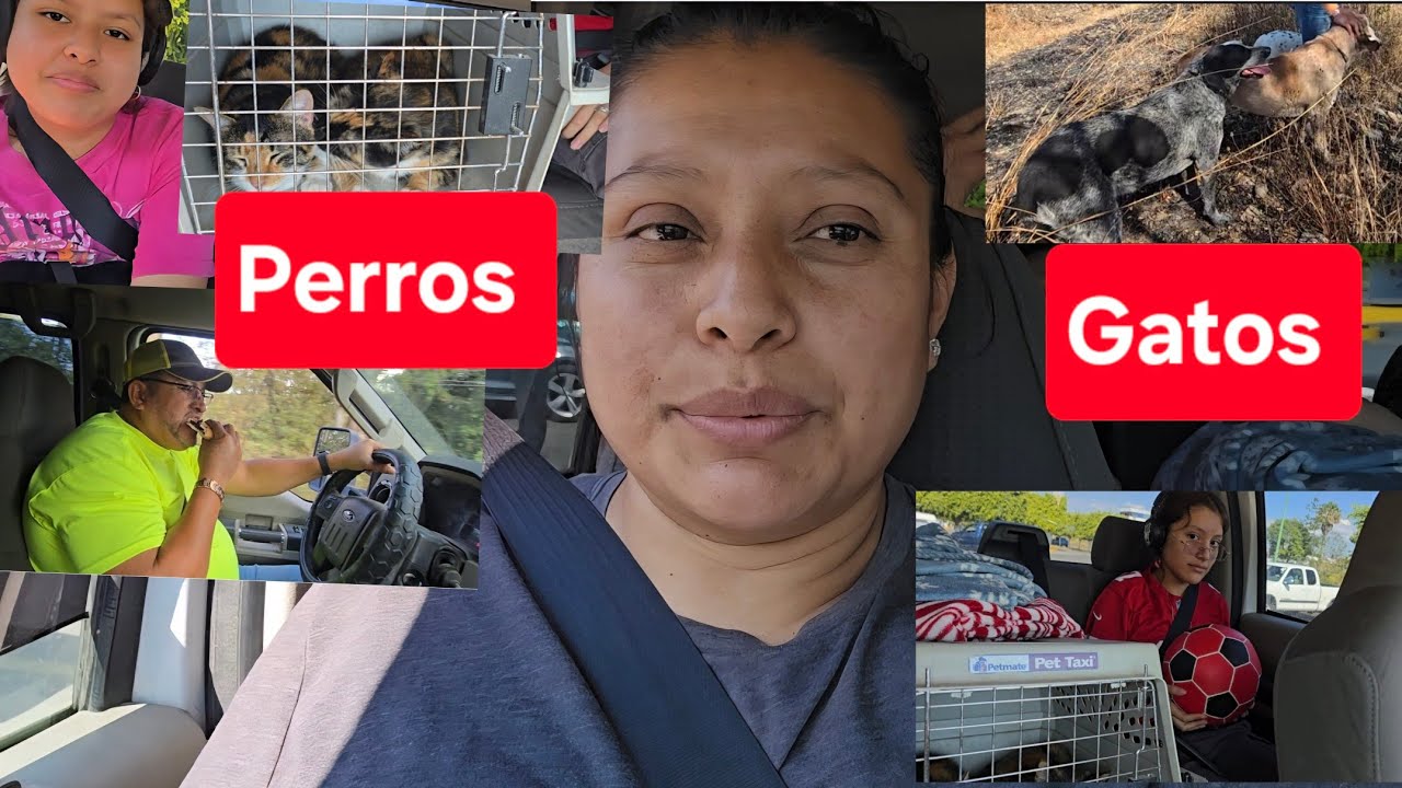 Navidad en el Rancho🎄⛄️¡Viajamos 🛻con TODOS Nuestros Perros🐕🐕 y Gatos 🐈🐈‍⬛!