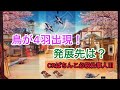 【CRぱちんこ必殺仕事人Ⅲ #1】鳥4羽の発展先といえばアレですね！覚えてますか？