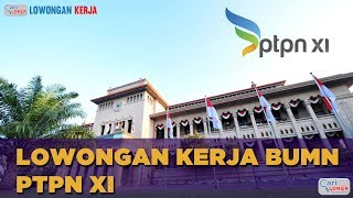 Lowongan Kerja Terbaru BUMN PTPN VI