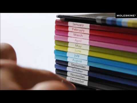 color a month daily diary planner youtube