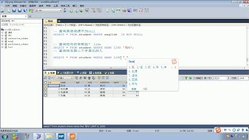 Java语法 493 DQL 条件查询 模糊查询