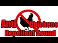 Anti chickens repellent sound