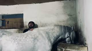 Sümmani Babadan “ Ervahı Ezelde “ Türküsü