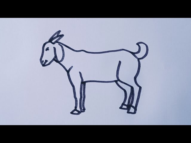 How to draw a goat easy/goat drawing step by step/goat outline drawing  tutorial 