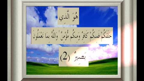 القران الكريم سورة التغابن الأية 2.wmv