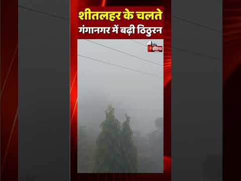 Rajasthan Weather Update: शीतलहर के चलते Ganganagar में बढ़ी ठिठुरन | Winter Update |Fog In Rajasthan