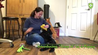 Training a Puppy to Drop It Using Tug Toy