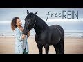 #free REIN/ Love Again song