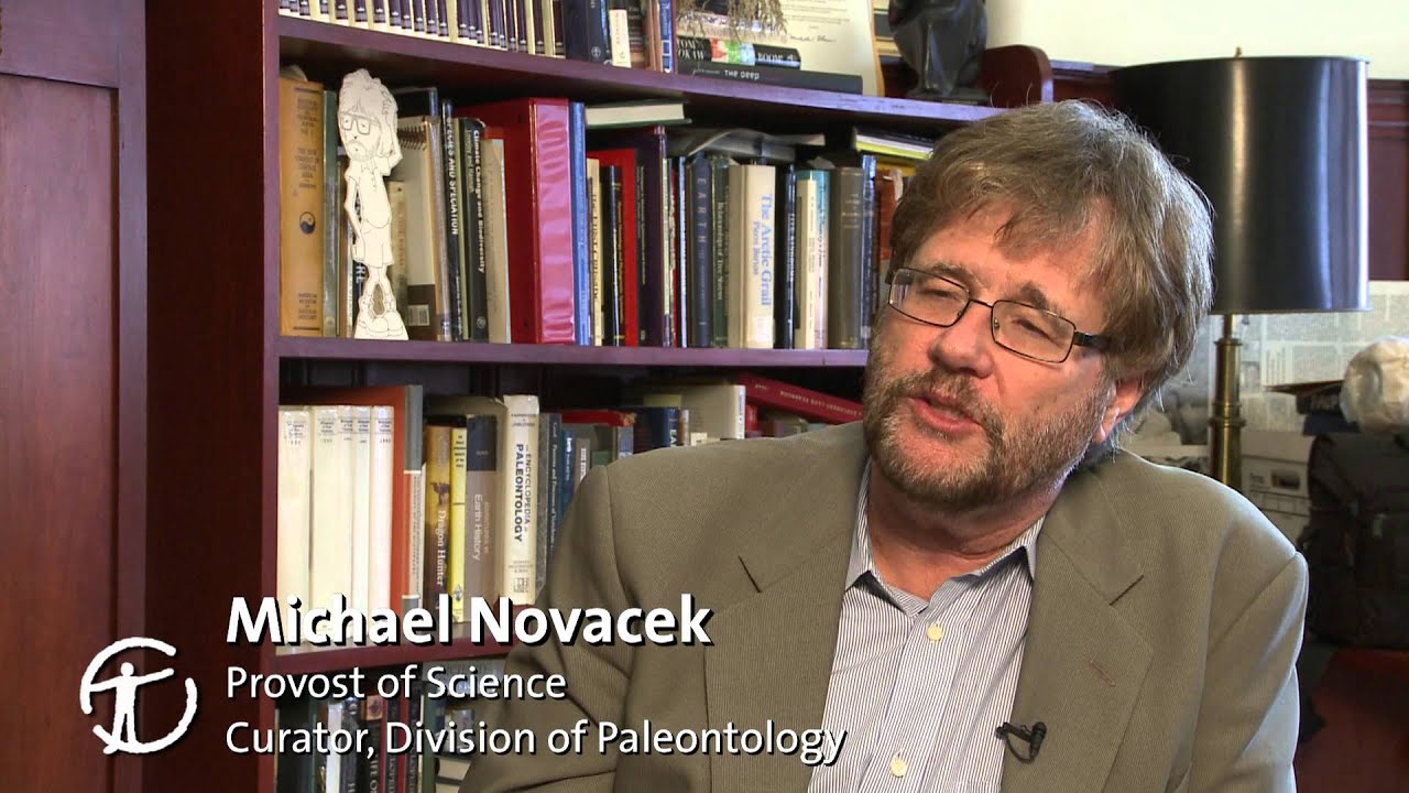 What Did Dinosaurs Eat?