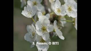 Video Poezija 5 Pesmi 5 Poems Avtor Pavel Lužan Recitira Slavko Cerjak