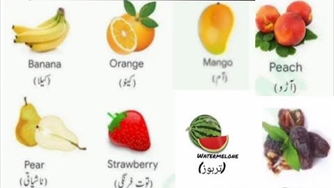 Fruit name|learn fruit name in english|names of fruit learning||phaloon k nam2.0