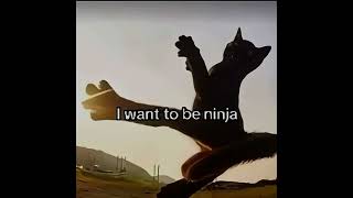 I Want To Be Ninja Meme