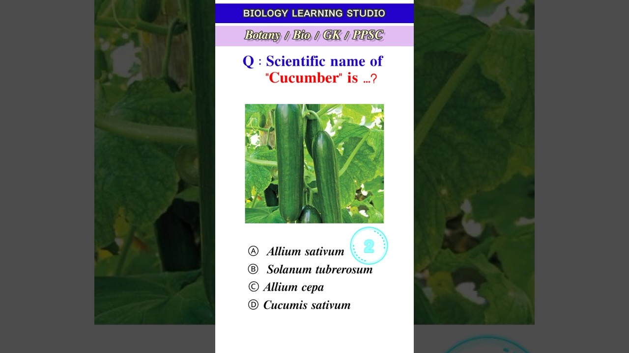 Scientific name of Cucumber  | Botanical name of Cucumber | Cucumber |  #biology #botany #bio #ppsc - YouTube