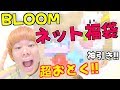 【スクイーズ】ネット福袋⁉️『BLOOM』が超お得に