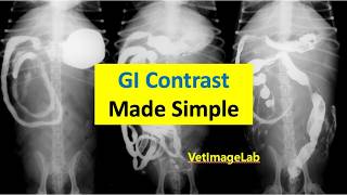 Gastrointestinal Contrast Studies in Dogs and Cats: Technique and Protocol