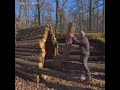Building a house in the forest#foresthouse #viralvideo #ai#aivideo#foresthousemaking#shorts