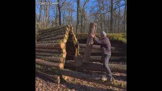 Building a house in the forest#foresthouse #viralvideo #ai#aivideo#foresthousemaking#shorts