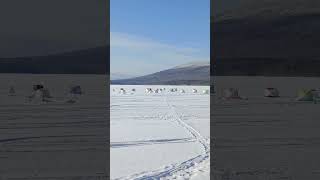 Небольшая деревушка на льду... #рыбалка