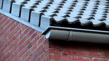 Common Swift banger on wall of neighbours