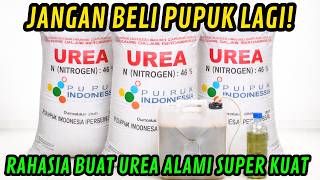 DON'T BUY FERTILIZER ANYMORE! Here's the Secret Way to Make Super Strong Natural UREA!