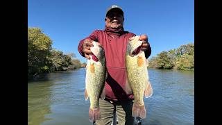 NorCal Fishing Report News
