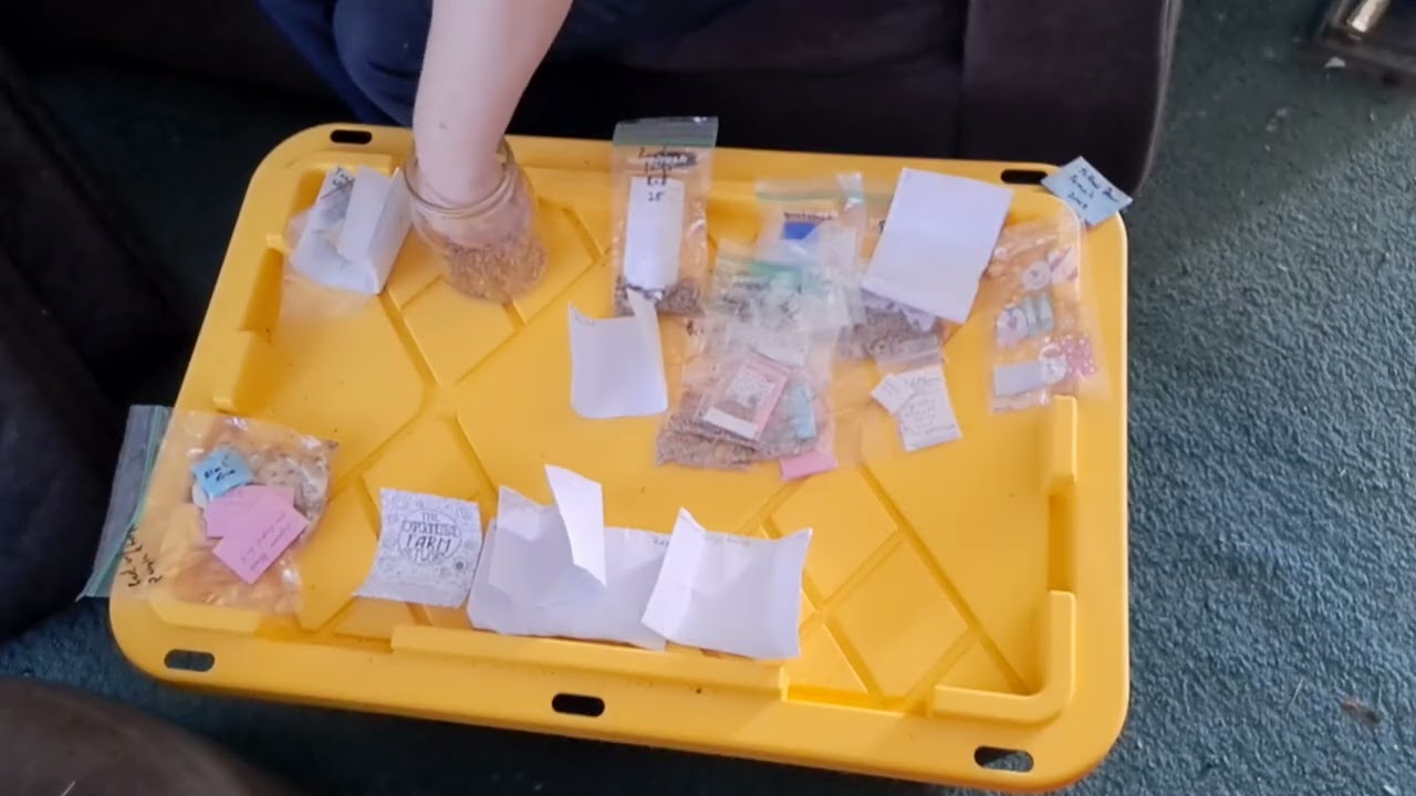 2026 Planting decisions --Tomatoes