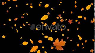 Autumn Falling | Motion Graphics - Envato elements