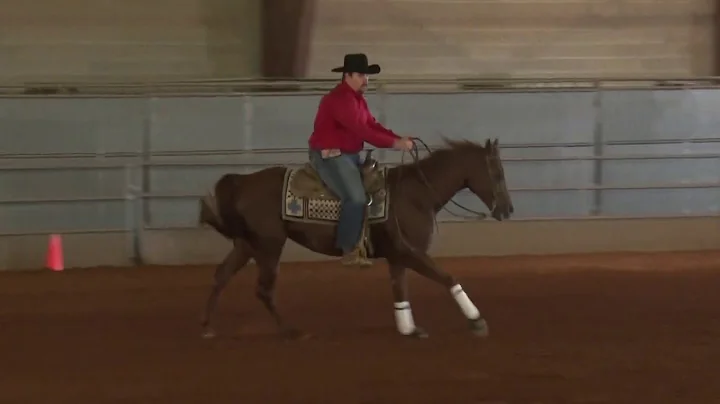 181013 Green Rider John Higdon on Shiners Sparkolena