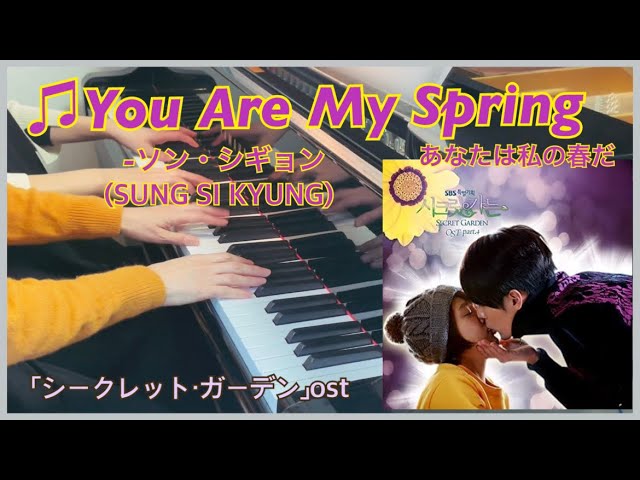 ☕️あなたは私の春だ『シークレット・ガーデン』ost /ソン・シギョン
