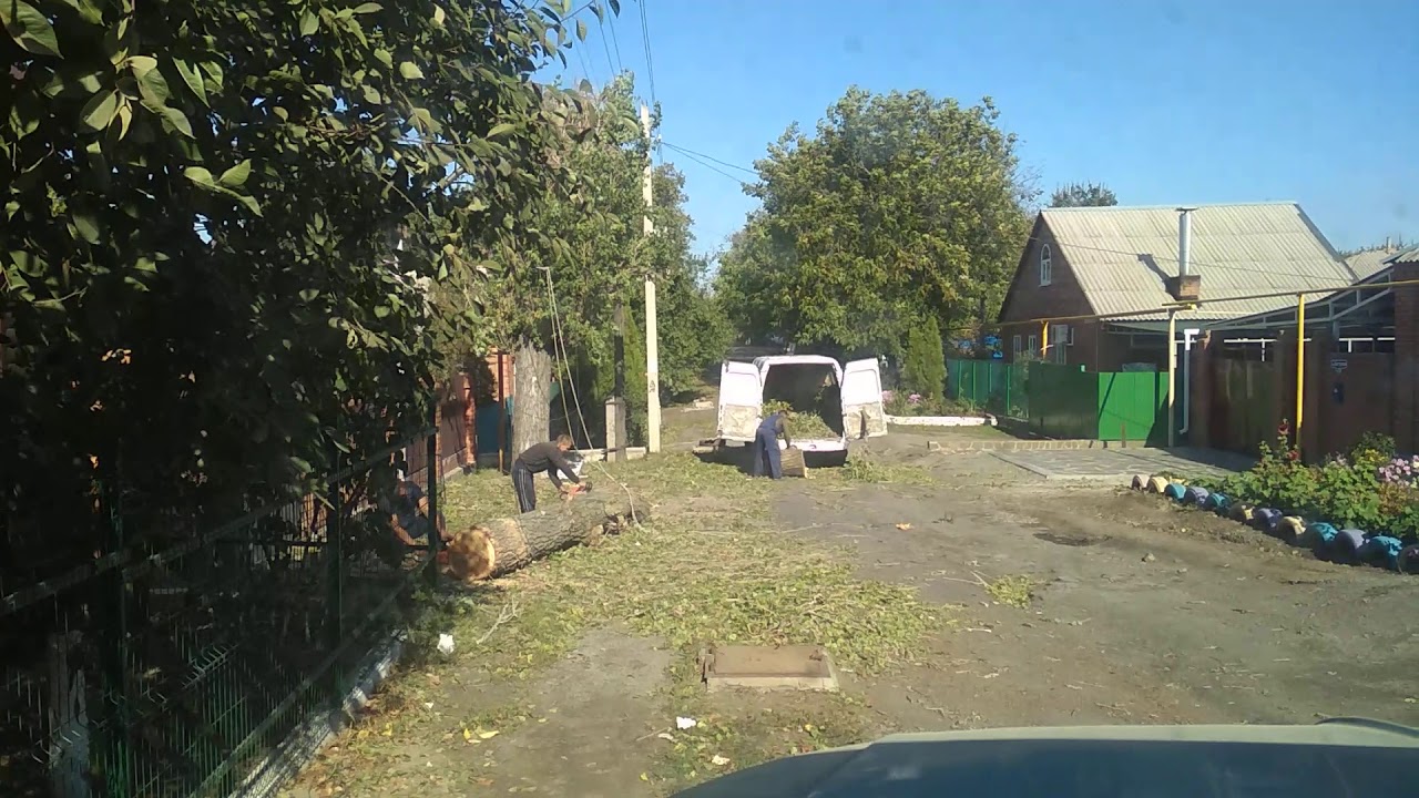 Распил бревна бензопилой /Жужики/ - YouTube