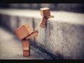 The  danbo story